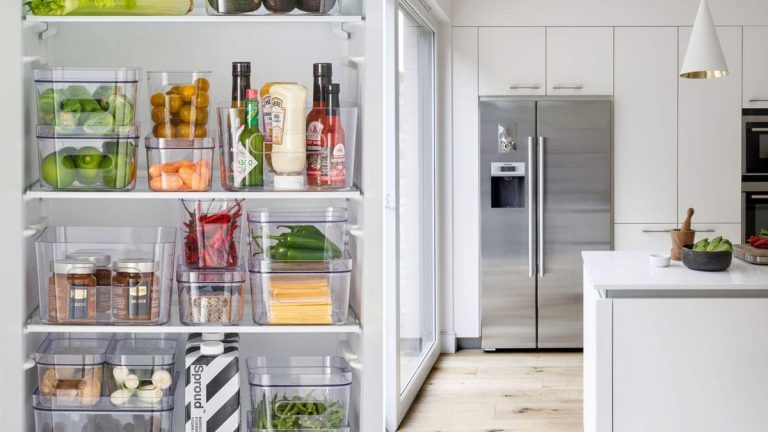 Nettoyez-vous la partie la plus sale de votre réfrigérateur ? Les experts avertissent que si vous ne le faites pas, vous risquez de développer des moisissures alimentaires Organiser les contenants en plastique – 10 façons de garder vos contenants sous contrôle