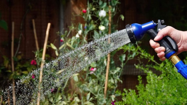 Qu'est-ce que l'arrosage en profondeur ? Comment économiser les ressources dans le jardin et avoir des plantes plus fortes
