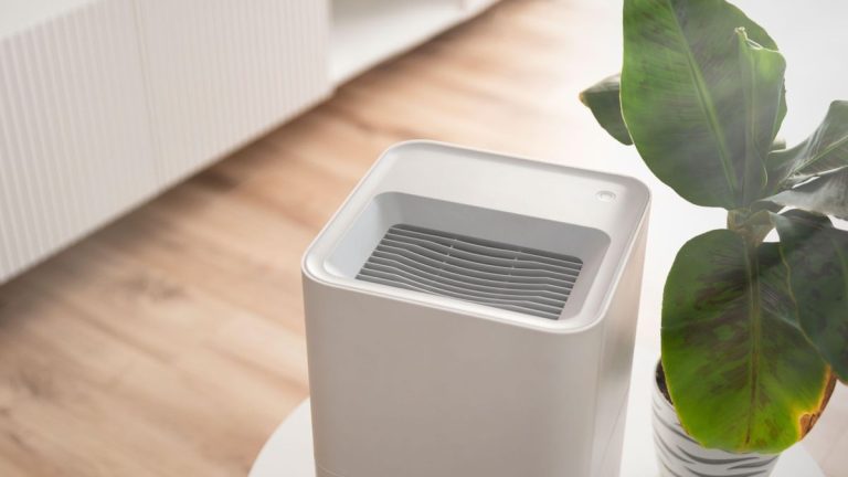 À quoi sert un déshumidificateur et votre maison en a-t-elle besoin ?
