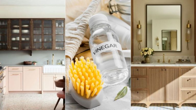 Peut-on utiliser du vinaigre pour tuer les moisissures ? 5 choses que les experts veulent que vous sachiez