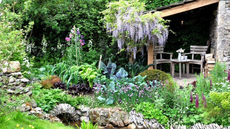 7 plantes à tailler en juillet – et des conseils d’experts pour une taille appropriée afin d’obtenir des fleurs plus belles et plus abondantes 7 plantes à tailler en juillet – et des conseils d’experts pour une taille appropriée afin d’obtenir des fleurs plus belles et plus abondantes