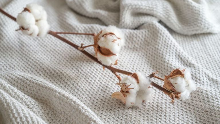 Comment laver et entretenir le coton – les experts en entretien des tissus dévoilent 6 secrets de lessive