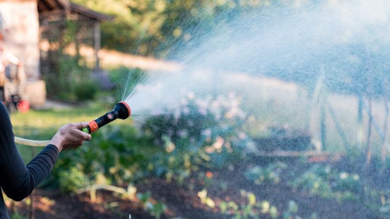 Les tuyaux d’arrosage extensibles valent-ils vraiment le coup ? Un testeur de produits vous conseille Les tuyaux d'arrosage extensibles valent-ils vraiment le coup ? Un testeur de produits vous conseille