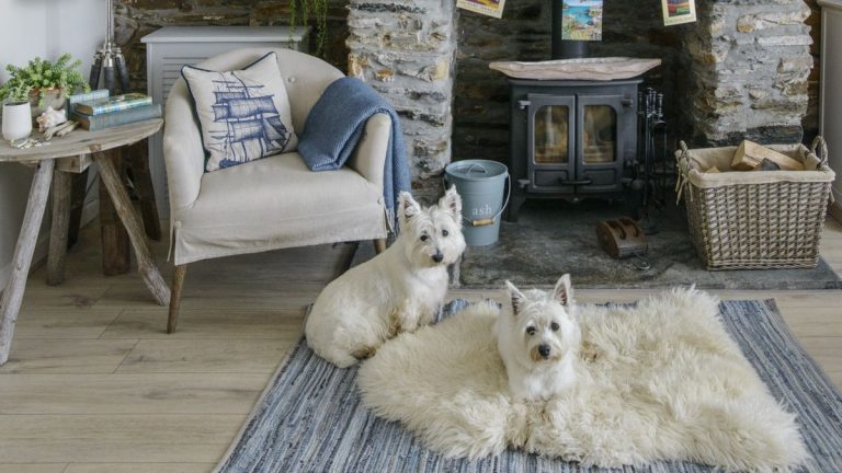 Cette mini buse ingénieuse pour animaux de compagnie est l'accessoire d'aspirateur parfait pour lutter contre les poils d'animaux