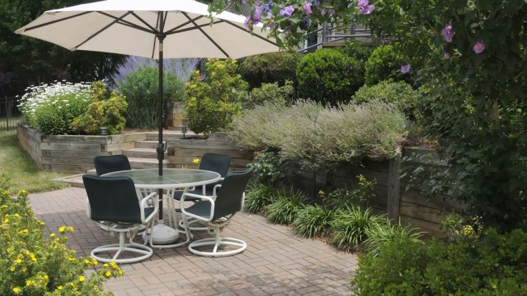 Les meilleures plantes pour un patio ombragé – 5 plantes éblouissantes pour égayer votre espace de vie extérieur