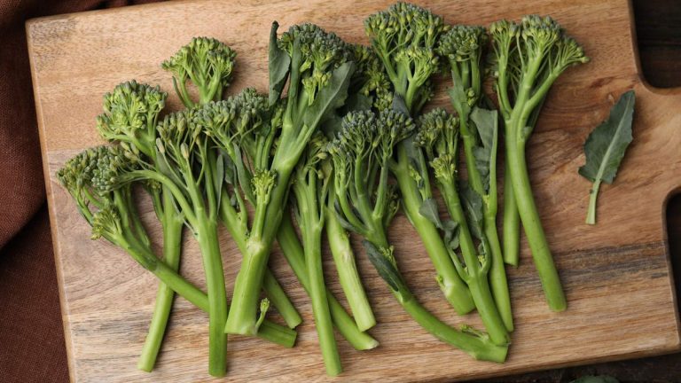 Comment faire pousser du broccolini à la maison – pour des récoltes abondantes de légumes gastronomiques