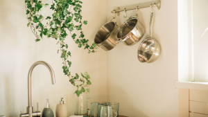 Que signifie réellement un ustensile de cuisine « non toxique » ? Nous avons posé la question aux experts