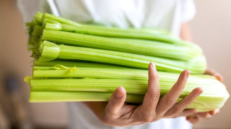 Quand et comment récolter le céleri – pour cueillir les tiges au plus fort de leur saveur Quand et comment récolter le céleri – pour cueillir les tiges au plus fort de leur saveur