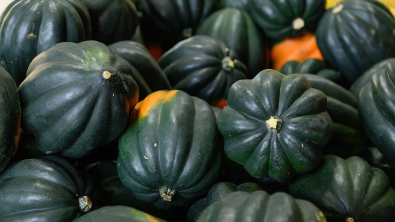 Comment faire pousser des courges poivrées du semis à la récolte – tout ce que vous devez savoir pour une belle récolte Comment faire pousser des courges poivrées du semis à la récolte – tout ce que vous devez savoir pour une belle récolte