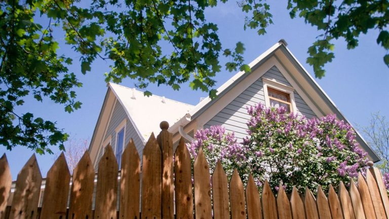 Qui est responsable si l’arbre de mon voisin tombe dans ma cour ? Les experts juridiques conseillent Qui est responsable si l'arbre de mon voisin tombe dans ma cour ? Les experts juridiques conseillent
