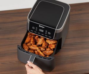 Vous recherchez les meilleures offres de friteuses à air ? Voici notre guide pour choisir le bon modèle en cette période de « fin de soldes »