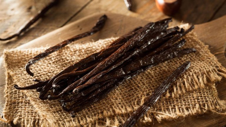 L'extrait de vanille repousse-t-il les moustiques ? Des experts examinent l'efficacité de ce doux parfum