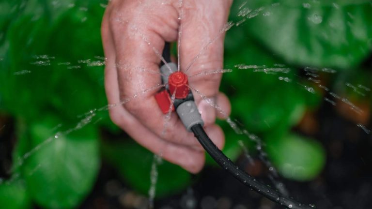 Comment choisir entre un système d’irrigation goutte à goutte et un tuyau suintant – lequel est le meilleur pour arroser les plantes en été ? Comment choisir entre un système d’irrigation goutte à goutte et un tuyau suintant – lequel est le meilleur pour arroser les plantes en été ?