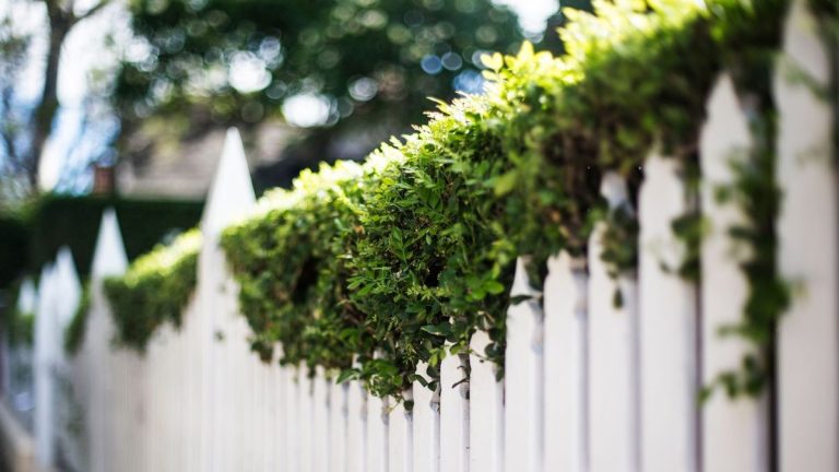 Puis-je tailler la haie de mon voisin ? Des experts juridiques et immobiliers apportent des éclaircissements sur cette question souvent déroutante Puis-je tailler la haie de mon voisin ? Des experts juridiques et immobiliers apportent des éclaircissements sur cette question souvent déroutante