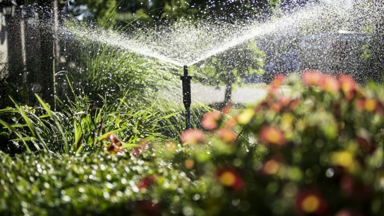 Arroseur ou tuyau suintant : quel est le meilleur choix pour arroser votre jardin ? Arroseur ou tuyau suintant : quel est le meilleur choix pour arroser votre jardin ?