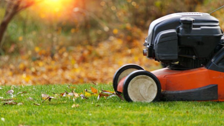 Quand faut-il arrêter de tondre sa pelouse en automne ? Voici pourquoi il est essentiel de choisir le bon moment pour garder votre gazon en bonne santé