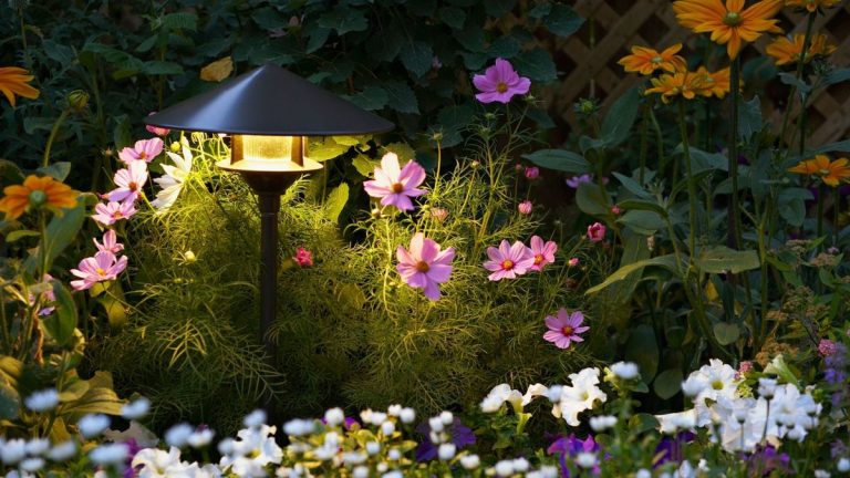 Les lampes solaires valent-elles vraiment la peine ? 5 vérités d'un testeur de produits expert