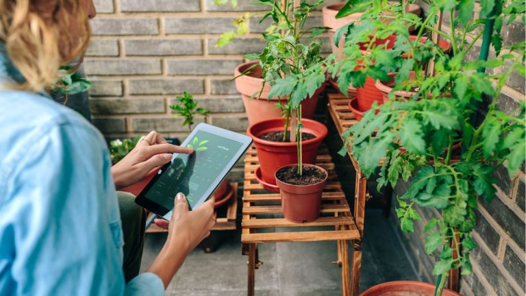 « Des jardiniers passionnés aux novices qui ne savent pas comment commencer, l'IA peut être un outil utile » – comment les jardiniers peuvent utiliser l'intelligence artificielle dans leur jardin