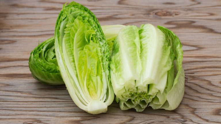Comment récolter la laitue romaine – et obtenir plusieurs récoltes à partir d’une seule plante