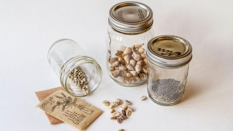 Idées de stockage de semences DIY – 5 façons de réutiliser des objets pour un stockage sûr des semences