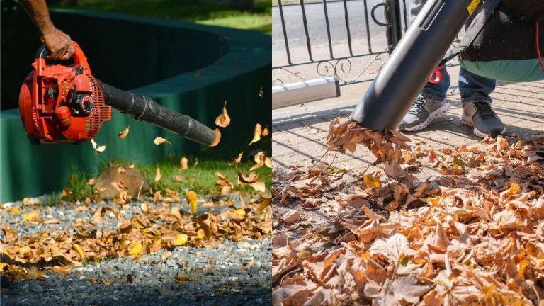 Souffleurs de feuilles ou aspirateurs de feuilles : lequel est le meilleur pour votre jardin et devriez-vous vous soucier de l’un ou l’autre ?