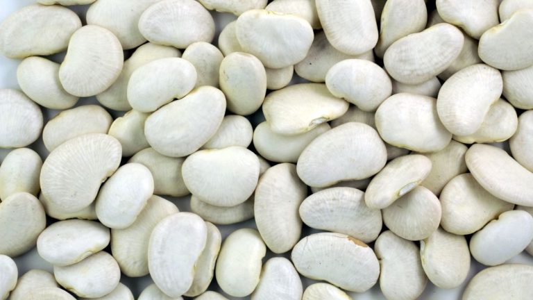 Comment faire pousser des haricots de Lima – du semis à la récolte