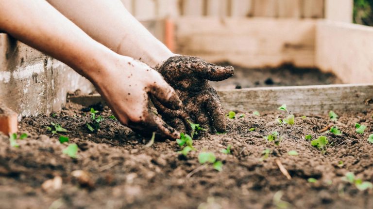 4 utilisations alternatives pour les agenouilloirs de jardin – un accessoire de jardin secrètement multifonctionnel
