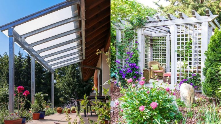 Toits de terrasse ou pergolas : quelle structure extérieure est la meilleure ?