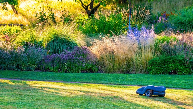 Est-il utile d'acheter un robot tondeuse ? 5 conseils d'experts en jardinage