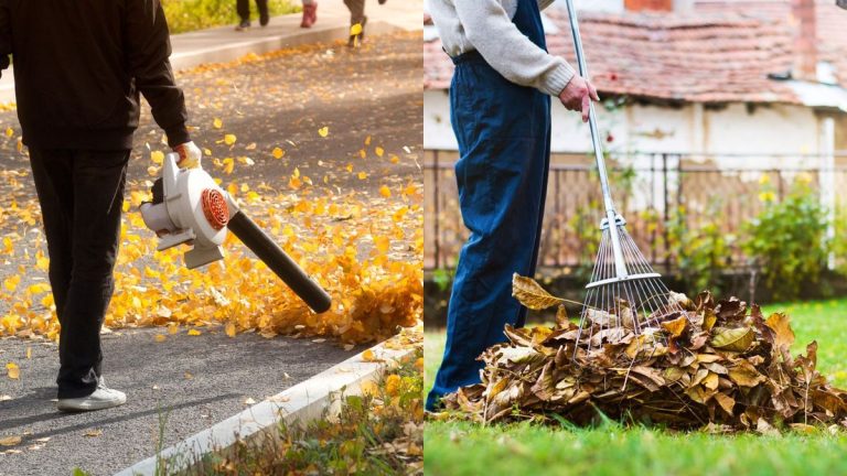 Souffleur de feuilles ou râteau : des jardiniers experts révèlent si vous devez opter pour la haute technologie ou rester à l’ancienne Souffleur de feuilles ou râteau : des jardiniers experts révèlent si vous devez opter pour la haute technologie ou rester à l'ancienne