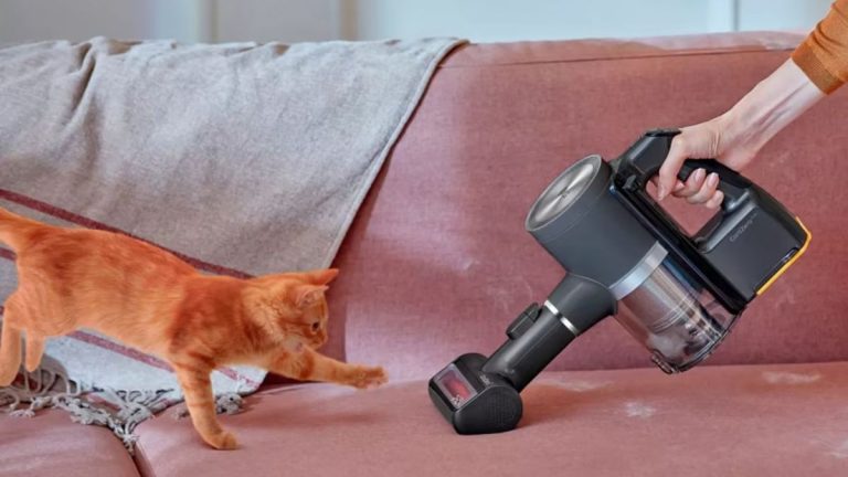 Les professionnels du nettoyage recommandent ces 6 conseils pour aspirer correctement les poils d’animaux Les professionnels du nettoyage recommandent ces 6 conseils pour aspirer correctement les poils d'animaux