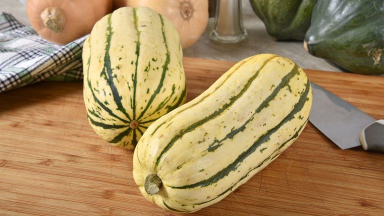 Quand récolter les courges delicata – conseils pour cueillir, faire mûrir et conserver les fruits par un producteur expérimenté