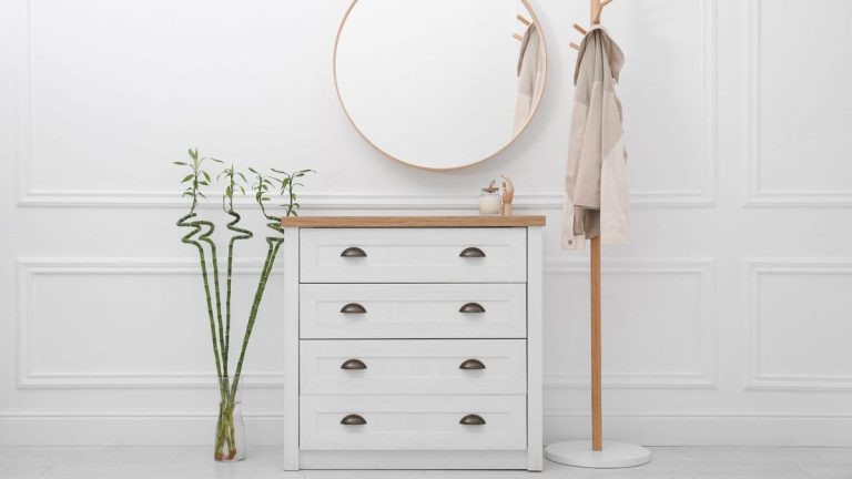 Comment faire pousser du bambou porte-bonheur – 7 étapes pour garder cette plante saine et dynamique