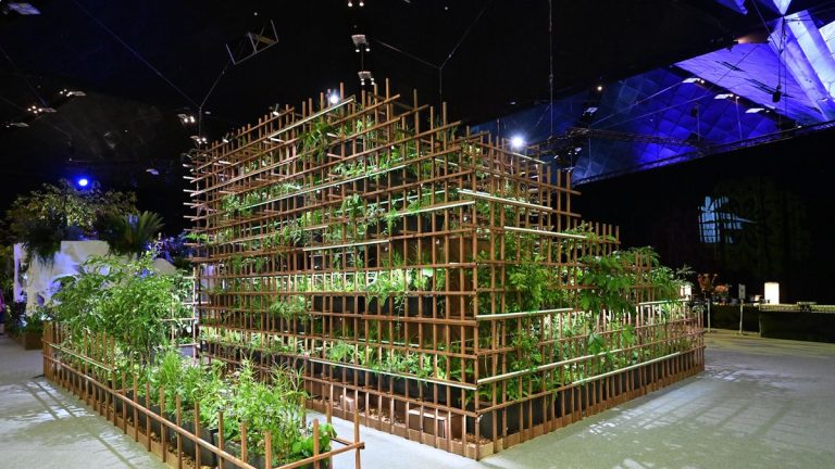 Les créations du Singapore Gardens Festival sont une « masterclass dans la combinaison de l'aménagement paysager contemporain avec le monde naturel »