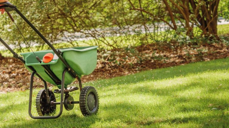 À quelle fréquence fertiliser une pelouse – 3 facteurs clés qui influencent la quantité d’engrais dont votre gazon a besoin par an