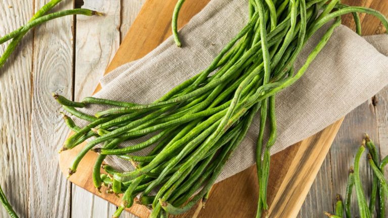 Comment faire pousser des haricots-kilomètres – et obtenir une récolte abondante avec notre guide expert