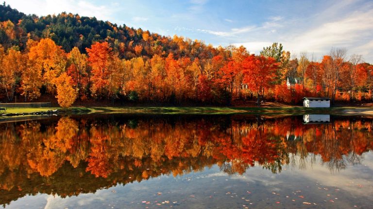 Les experts météo prédisent que les feuillages d'automne éclatants éblouiront 20 États américains