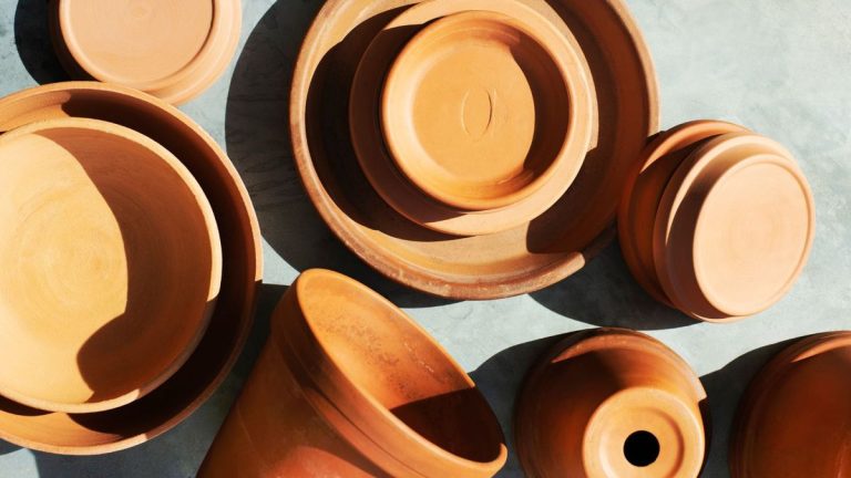 12 plantes à ne jamais mettre dans des pots en terre cuite – et pourquoi ces contenants pourraient les endommager
