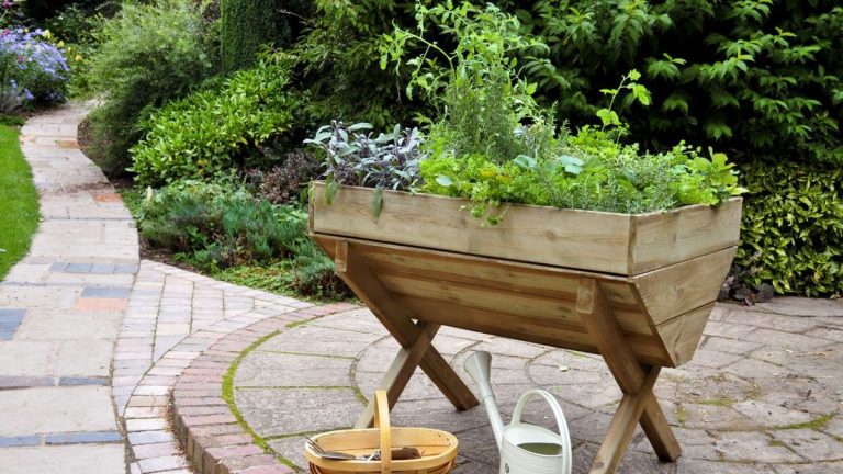 Des herbes qui poussent bien ensemble – 16 combinaisons de plantation pour un jardin sain et prospère Des herbes qui poussent bien ensemble – 16 combinaisons de plantation pour un jardin sain et prospère