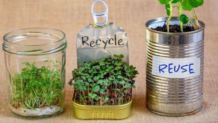 Jardinage zéro déchet – 7 idées innovantes pour rendre votre jardin plus vert Jardinage zéro déchet – 7 idées innovantes pour rendre votre jardin plus vert