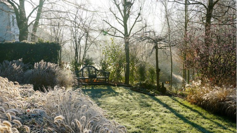 Comment hiverner un jardin – 5 étapes pour faire passer vos plantes à travers la saison la plus froide Comment hiverner un jardin – 5 étapes pour faire passer vos plantes à travers la saison la plus froide