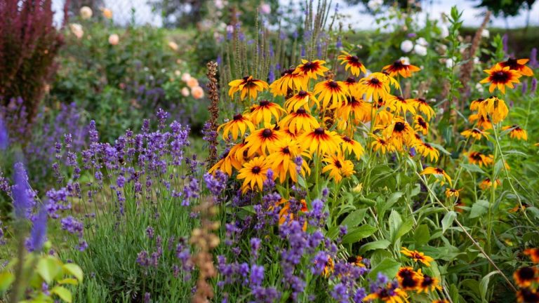7 plantes vivaces à ne pas couper en novembre pour garder un jardin respectueux de la nature et ajouter un intérêt hivernal 7 plantes vivaces à ne pas couper en novembre pour garder un jardin respectueux de la nature et ajouter un intérêt hivernal