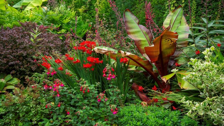 Comment hiverner les plantes tendres – et les garder en sécurité jusqu’au printemps Comment hiverner les plantes tendres – et les garder en sécurité jusqu’au printemps