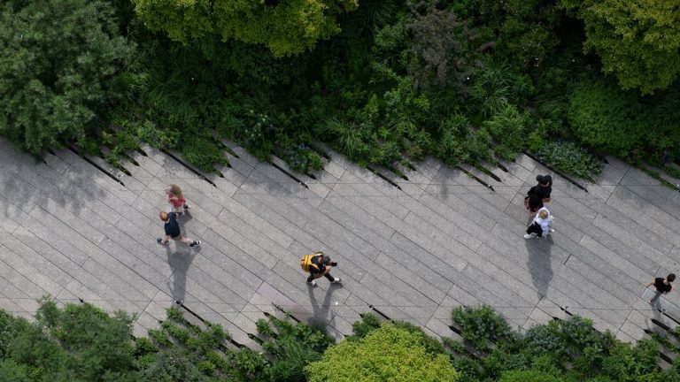 Laissez-vous inspirer pour transformer votre jardin cet automne et cet hiver – avec les idées de plantation saisonnière de la High Line de New York Laissez-vous inspirer pour transformer votre jardin cet automne et cet hiver – avec les idées de plantation saisonnière de la High Line de New York