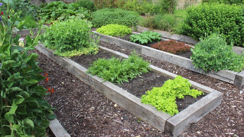 Comment hiverner les plates-bandes surélevées – 4 tâches essentielles pour les préparer et les booster pour le printemps Comment hiverner les plates-bandes surélevées – 4 tâches essentielles pour les préparer et les booster pour le printemps