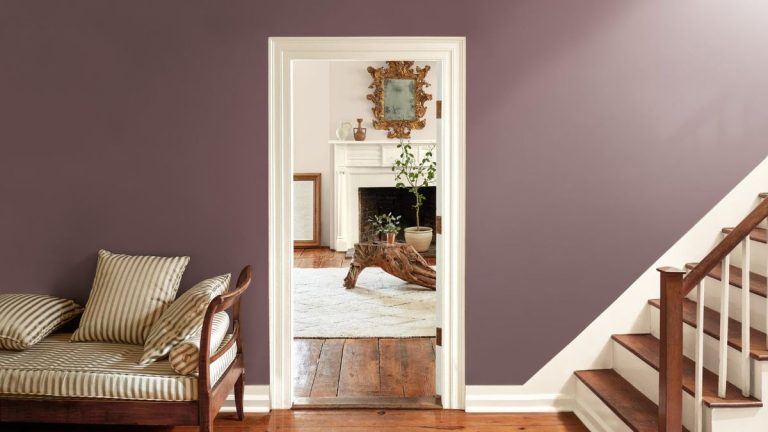 La couleur de l’année 2025 de Benjamin Moore est une prune discrète aux tons bruns – prouvant que les teintes « intermédiaires » sont la voie à suivre La couleur de l'année 2025 de Benjamin Moore est une prune discrète aux tons bruns – prouvant que les teintes « intermédiaires » sont la voie à suivre