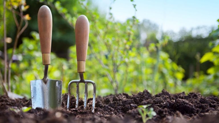 Comment acheter de bons outils de jardinage – conseils d’experts pour trouver des outils qui durent toute une vie Comment acheter de bons outils de jardinage – conseils d'experts pour trouver des outils qui durent toute une vie