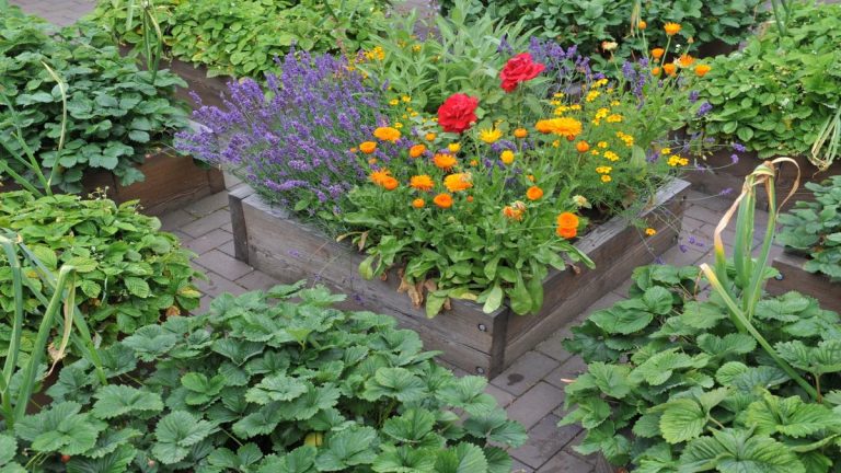 Quel est le meilleur matériau pour un lit surélevé ? Pour un jardin durable et stylé