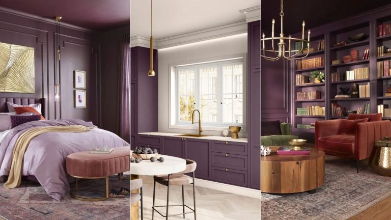 Cette teinte riche remplacera-t-elle le rouge pour 2025 ? Découvrez la couleur de l’année de Glidden, « Purple Basil » Cette teinte riche remplacera-t-elle le rouge pour 2025 ? Découvrez la couleur de l'année de Glidden, « Purple Basil »