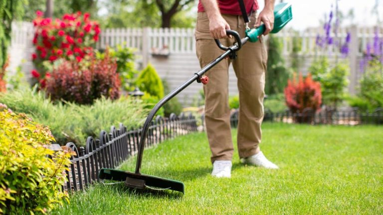 Je teste des coupe-gazon depuis des années – voici tout ce que vous devez savoir pour en acheter un qui soit efficace et facile à utiliser